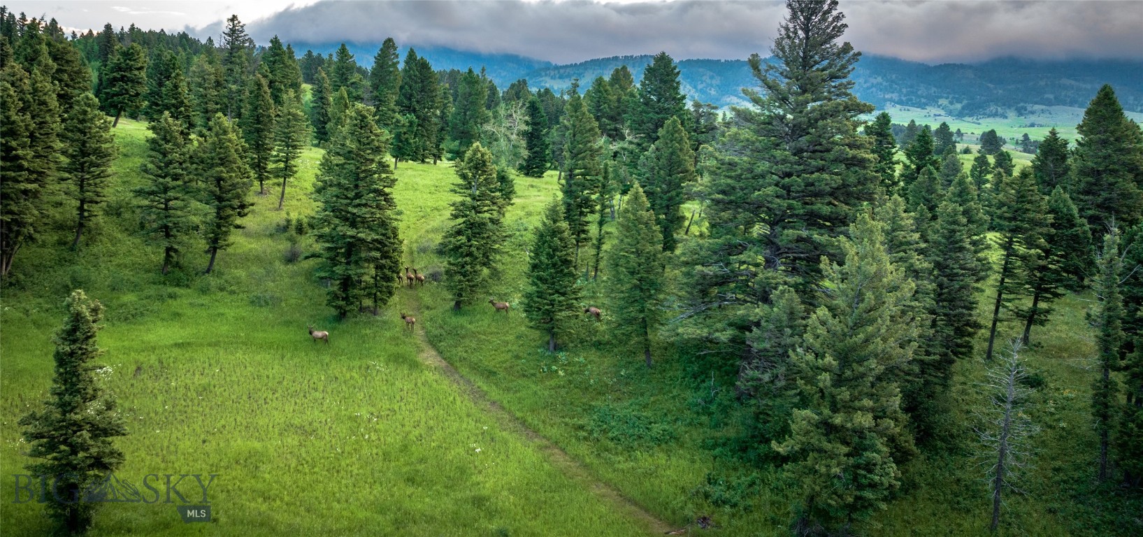 North Pass Ranches - Farm