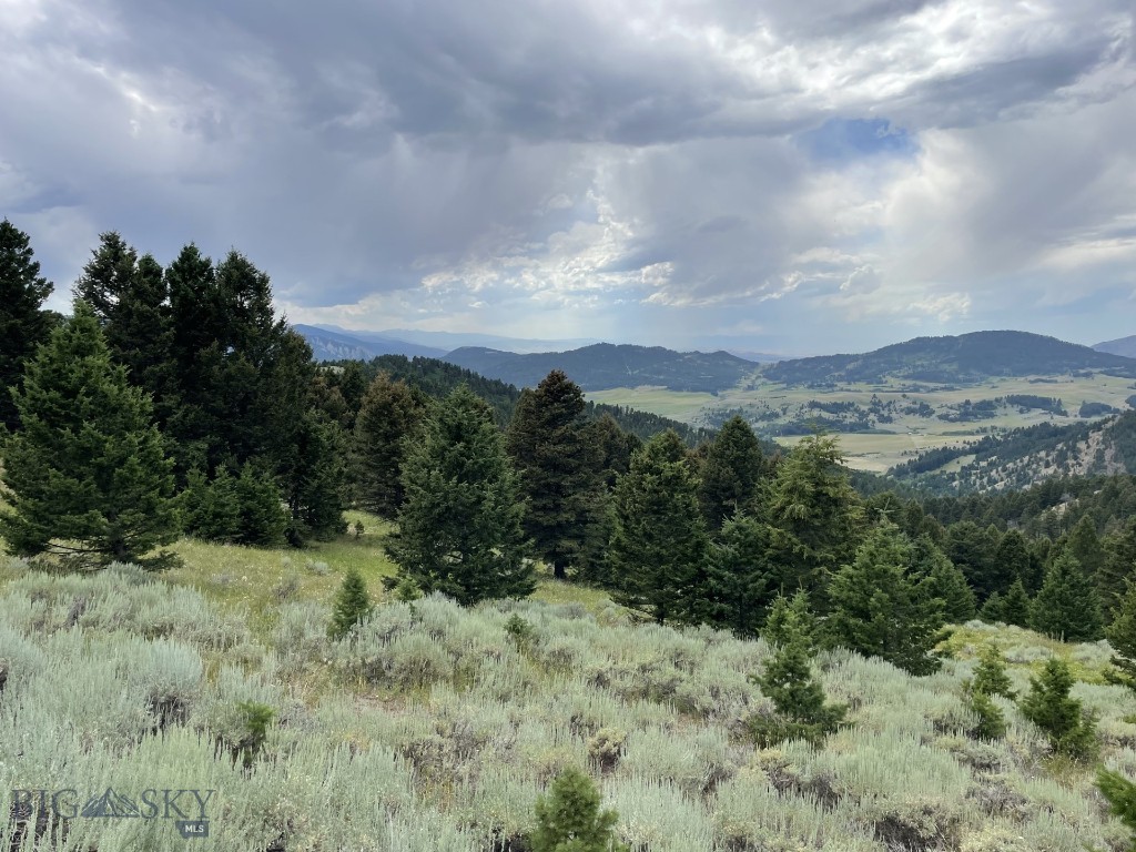 This is a beautiful mountain parcel that features incredible western views of the Bridger Range and all things West. There are several potential build sites tucked away behind mature timber in hidden meadows. Electric is along the road and there is an existing well. Building plans and structural engineering for a small cabin have been completed and may transfer with sale. The existing well on the property was pump tested by Montana Pump in 2019 and measured at 80' deep, static water level at 40' and 3 GPM . Property lies in Park County however mailing address is Bozeman. There is an existing dry hunting cabin and an outhouse that have not been used for some time. Trees, views, wildlife and wild flowers .. a pristine site for building that custom home in the mountains you have always dreamed of.