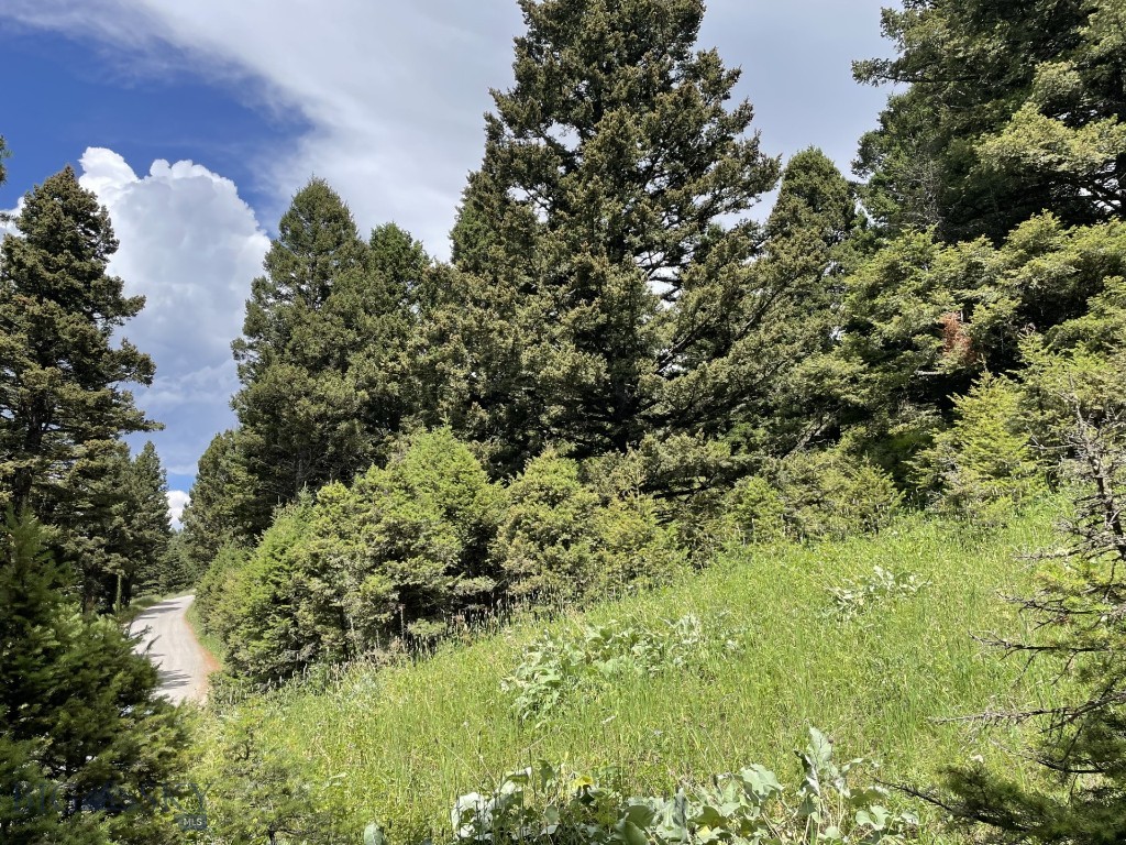 Mountain Springs Ranch - Land