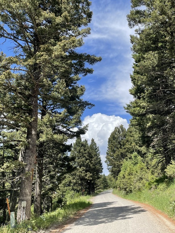 Mountain Springs Ranch - Land