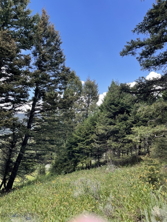Mountain Springs Ranch - Land
