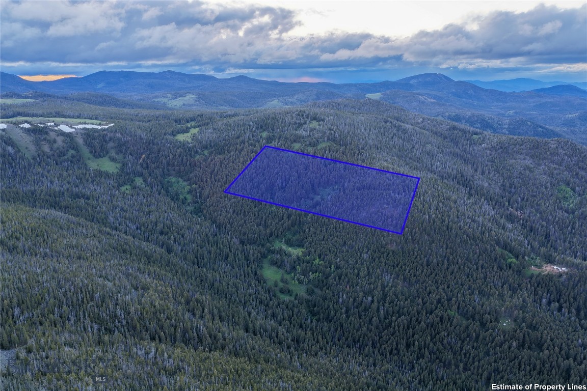 Looking for a piece of Montana you can truly get away to? This 20.13-acre mining claim in Jefferson City is bordered by USDA Forest Service land on three sides, putting thousands of acres of public land right at your fingertips. The property is heavily wooded with mountain views, offering a private setting for hunting, hiking, camping, or building an off-grid cabin retreat. Access is through Forest Service roads, with a short hike to the property. Spend your days exploring the surrounding public land and experiencing the wildlife and rugged beauty Montana is known for. With no covenants and plenty of room to create your own getaway, this property is ready for your next adventure.