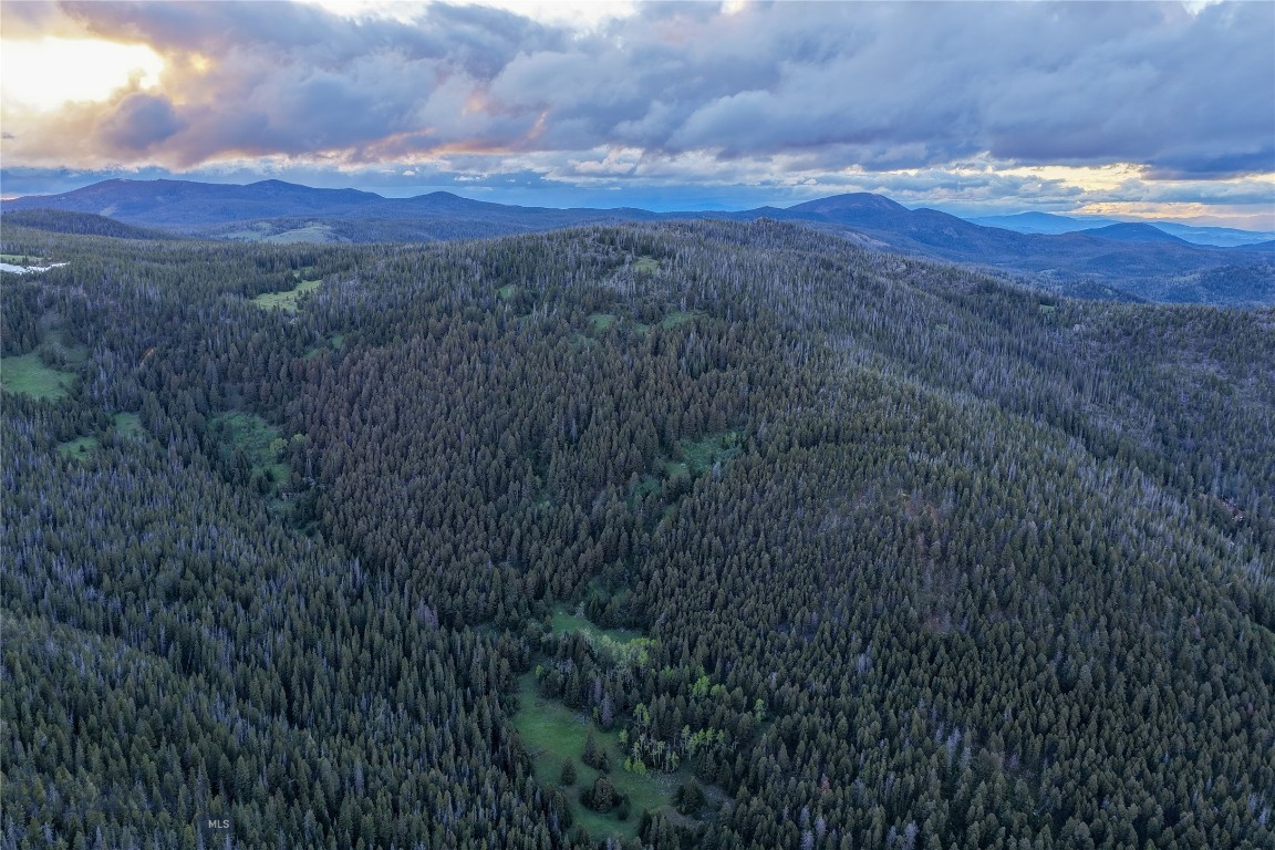 Other - Land