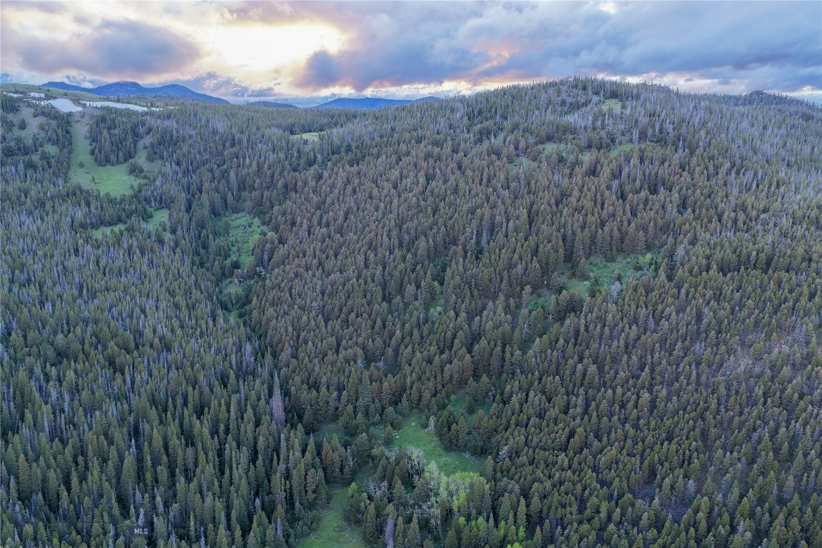 Other - Land