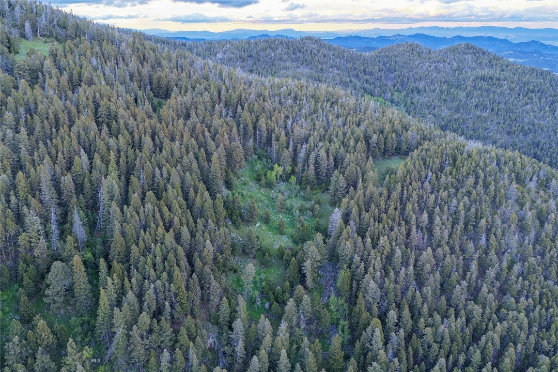 Other - Land