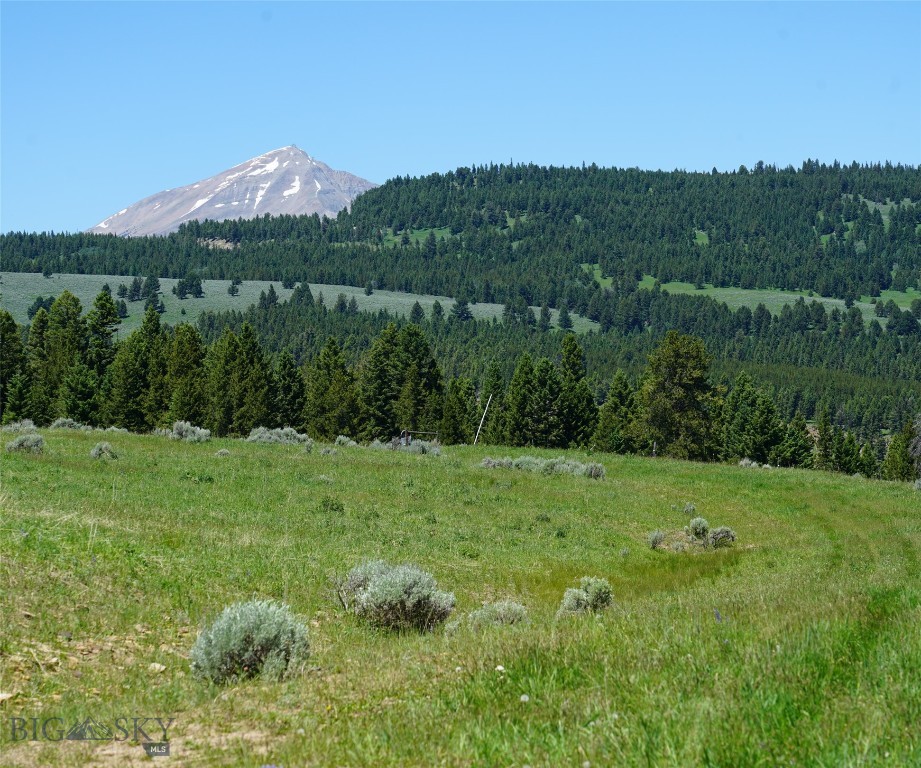 Beautiful 40 acre alpine meadow property, one of the most beautiful properties in Big Sky! Outstanding views of the surrounding mountains including the Spanish Peaks, Lone Peak and the surrounding foothills.  Rolling grassy alpine meadow with a designated build site.  Timberloft Road, a private dead-end road, provides access to the property - this is an engineered road carefully constructed to insure privacy and views.  Electricity and fiber are buried along Timberloft Road , but are not pulled into the designated build sites so as to allow great flexibility in the design of a residence. Driveways and utilities to the build site will be the responsibility of the new owners. Lush alpine grasses blanket the land creating a park-like feeling - unlike many alpine mountain properties, this is totally usable land with gentle grades surrounded by a mature forested canopy.  Ideal to create hiking and biking trails with views in every direction.  Amazing sunsets and sunrises visible from all parts of the property but exceedingly private.  Unlike any other property in the entire Big Sky area.  Close to Ophir School, the West Gallatin  River and convenient to Town Center and Meadow Village.  Possible seller financing to qualified buyers.