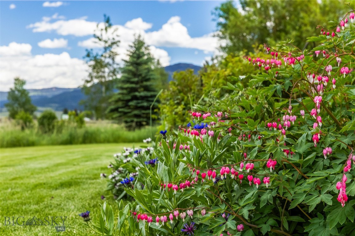 Hyalite View Estates - Residential