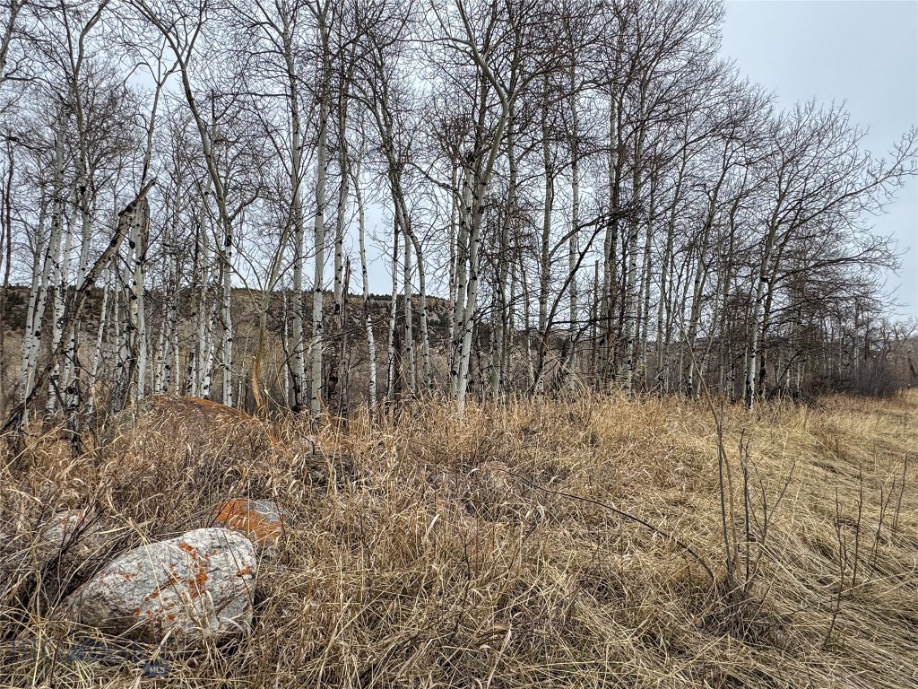 None - Land
