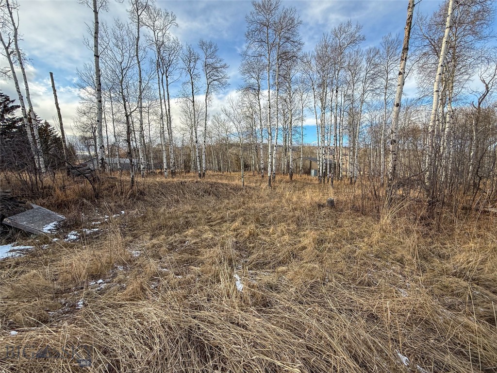 None - Land