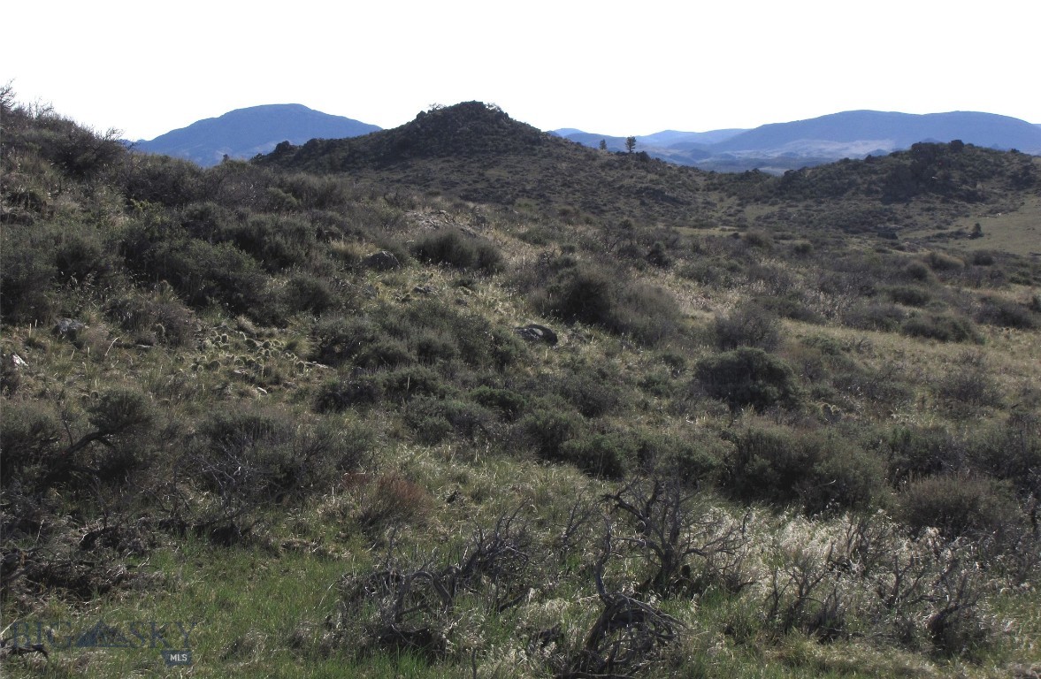Other - Land