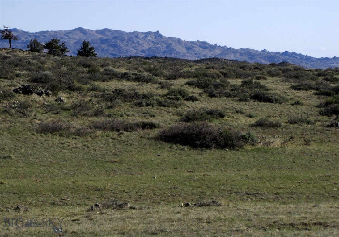 Other - Land