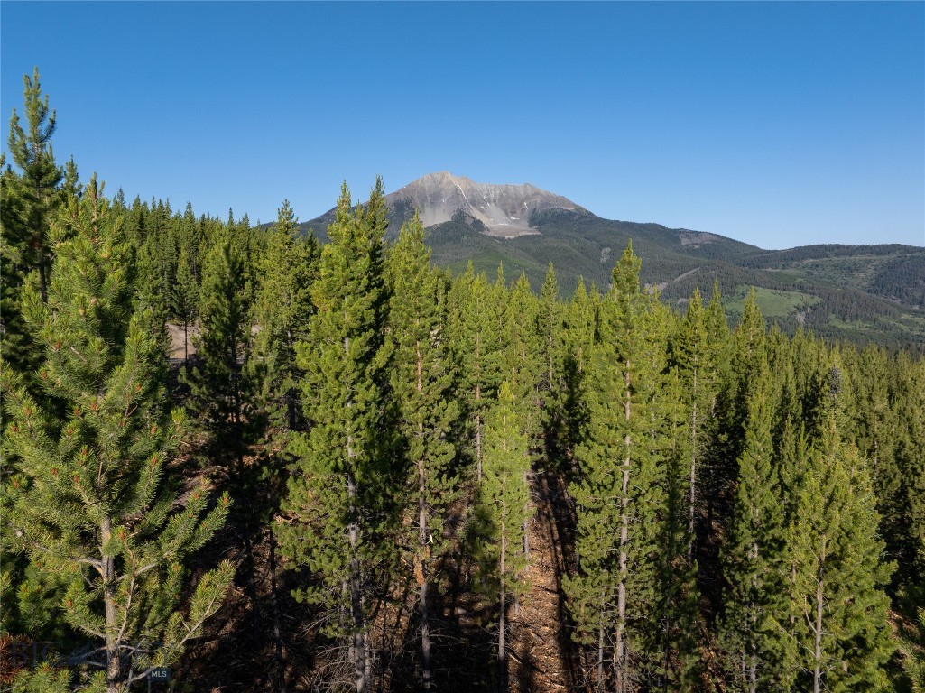 Moonlight Basin West 1 - Land