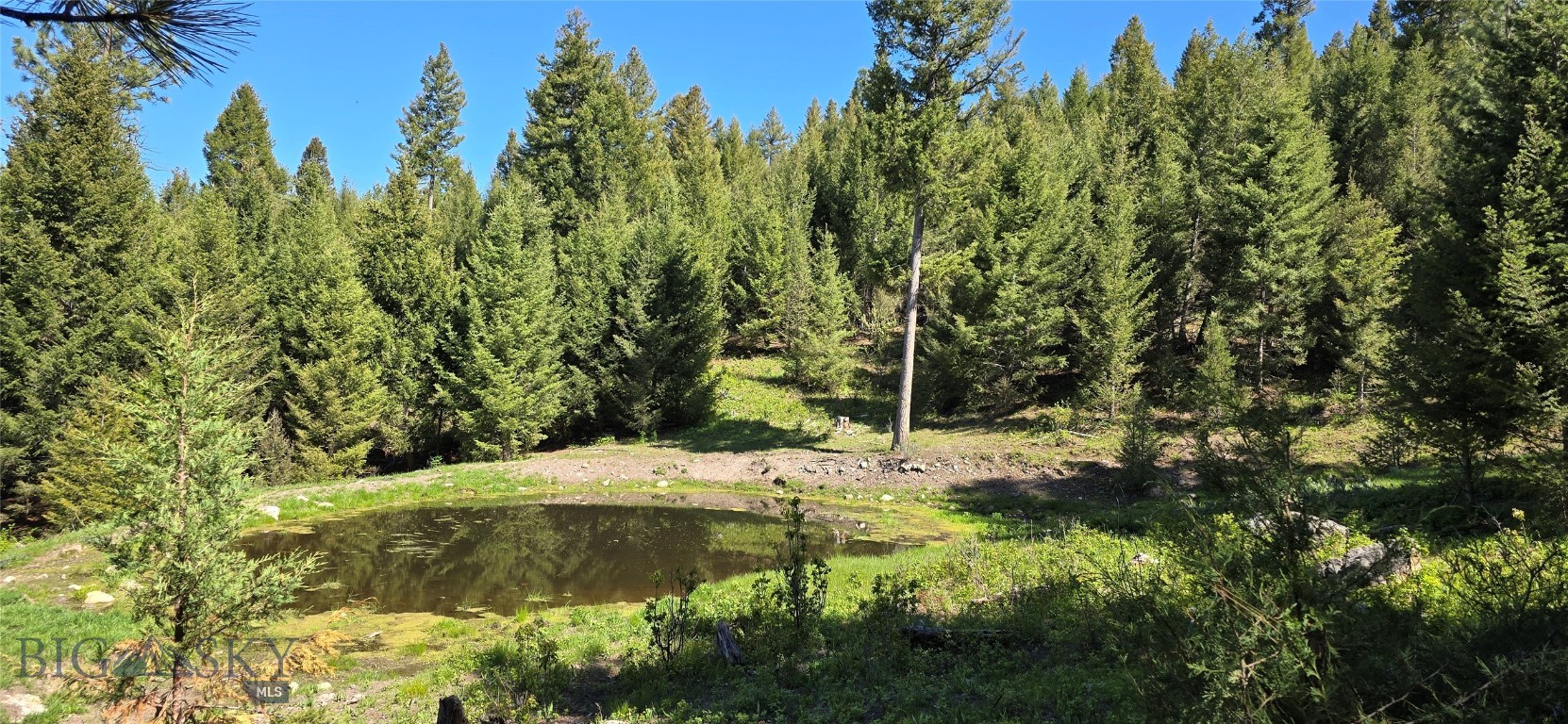 160 +/- acres of off-grid Montana land for sale in Big Sky Country, offering a private Montana retreat with improved roads and expansive Western Montana mountain and valley views. This secluded Granite County real estate near Drummond, MT features a seasonal spring and pond, wildflowers, mixed wooded and meadow terrain, and borders Forest Service land—making it prime Montana hunting land and recreational property with abundant wildlife and direct access to public land. Ideal for building your dream home in Montana, creating a hobby ranch with horses and livestock, or investing in Montana acreage, this property offers gravel road access, true off-grid living, and owner financing. If you’re searching for Montana land for sale with water, views, privacy, and recreation, this 160-acre Western Montana property checks every box.