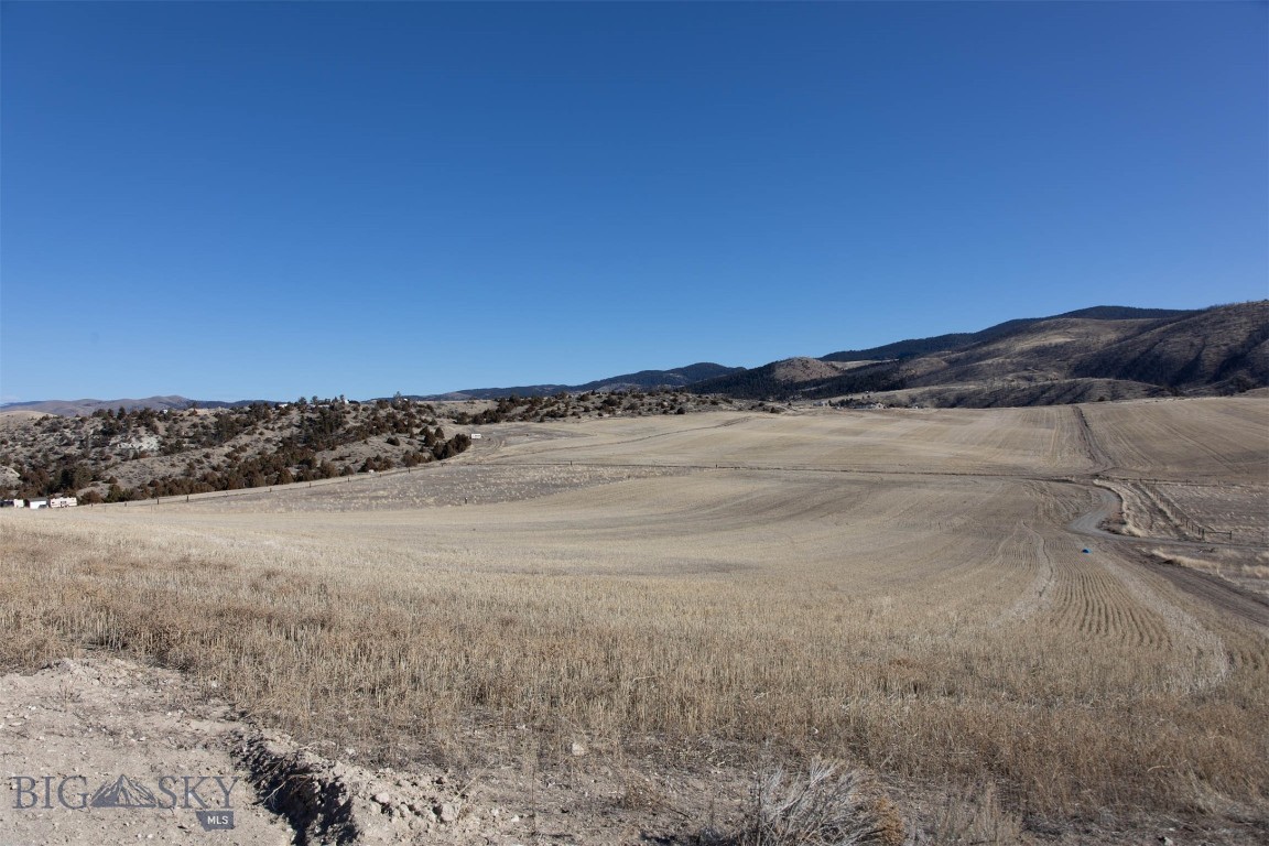 Ponderosa Pines - Land