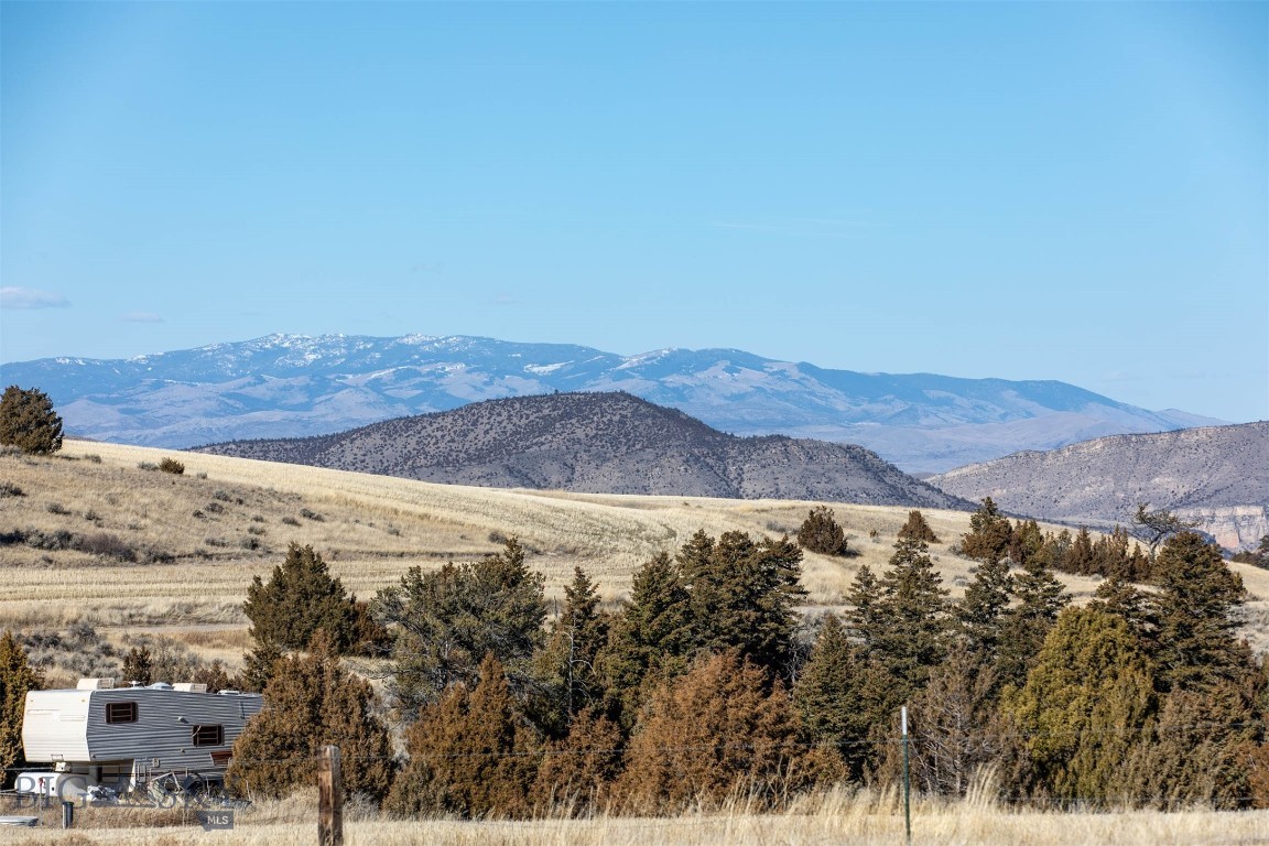 Ponderosa Pines - Land