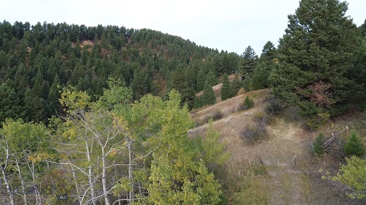 None - Farm