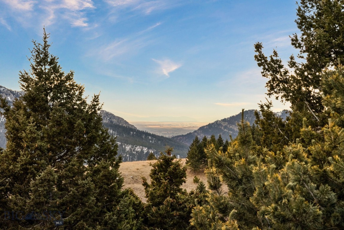 Timberline Creek - Residential