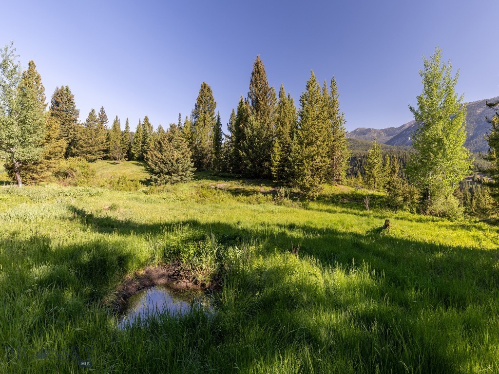Aspen Groves - Land