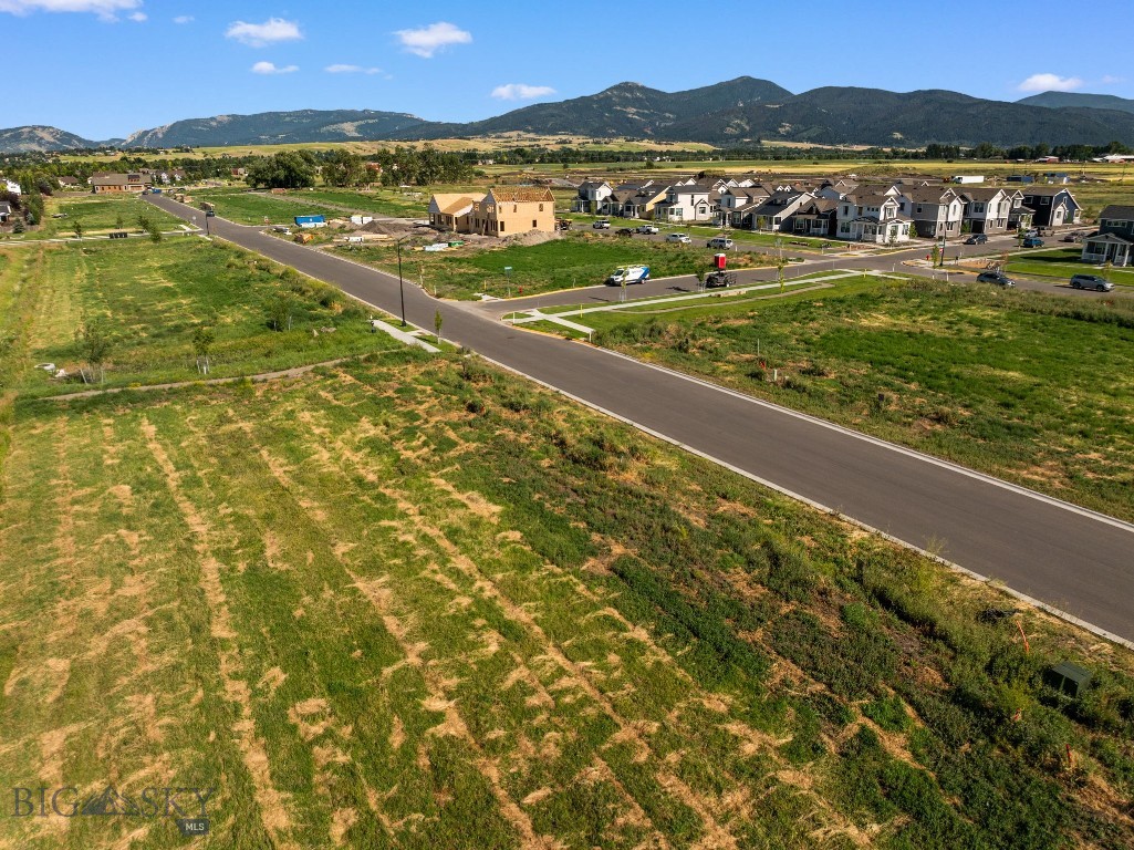 Blackwood Groves - Land