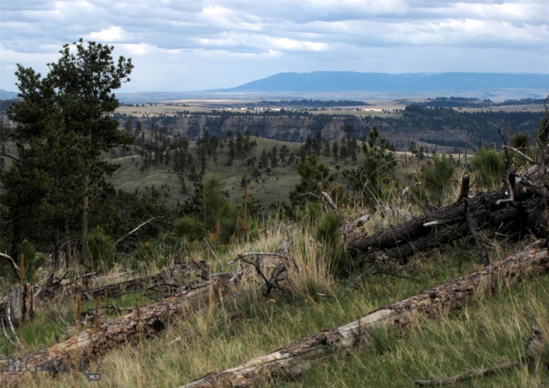 Owner financing available!  Escape to the hills of Montana and enjoy country living with 21 plus ACRES OF PRIVACY! This property in the Pine Hills 30 miles west of Billings and just north of the Yellowstone River offers lots of seclusion and privacy. This property offers great views of the Pryor Mountains to the east and glimpses of the Beartooth Mountains to the south. The property has a mix of topography with some very steep areas that drop towards the north where you will find some great build sites among the pine trees. 2/3 of the land was burnt years ago, so some areas could be developed for pasture. Power is about 1/2 mile away, so solar would be the more affordable option. Phone lines are along the road, but Cell phones work. It is only 5 miles off the state highway, 30 miles west of Billings and 14 miles east of Columbus or 12 miles west of Park City. Wildlife here includes deer, elk, turkeys, grouse and antelope. The HOA plows and maintains the roads, so it works well for year-round living. There are covenants in place to protect your property values, plus owning land here gives you access to a 20 acre private park on the Yellowstone River with a BBQ, picnic tables, gazebo and access to fishing a blue ribbon trout water! Only an hour from Red Lodge for skiing and 2 hours from Yellowstone National Park! Call for more details and to set up a showing!  Owner is willing to finance with as little as 10% down.