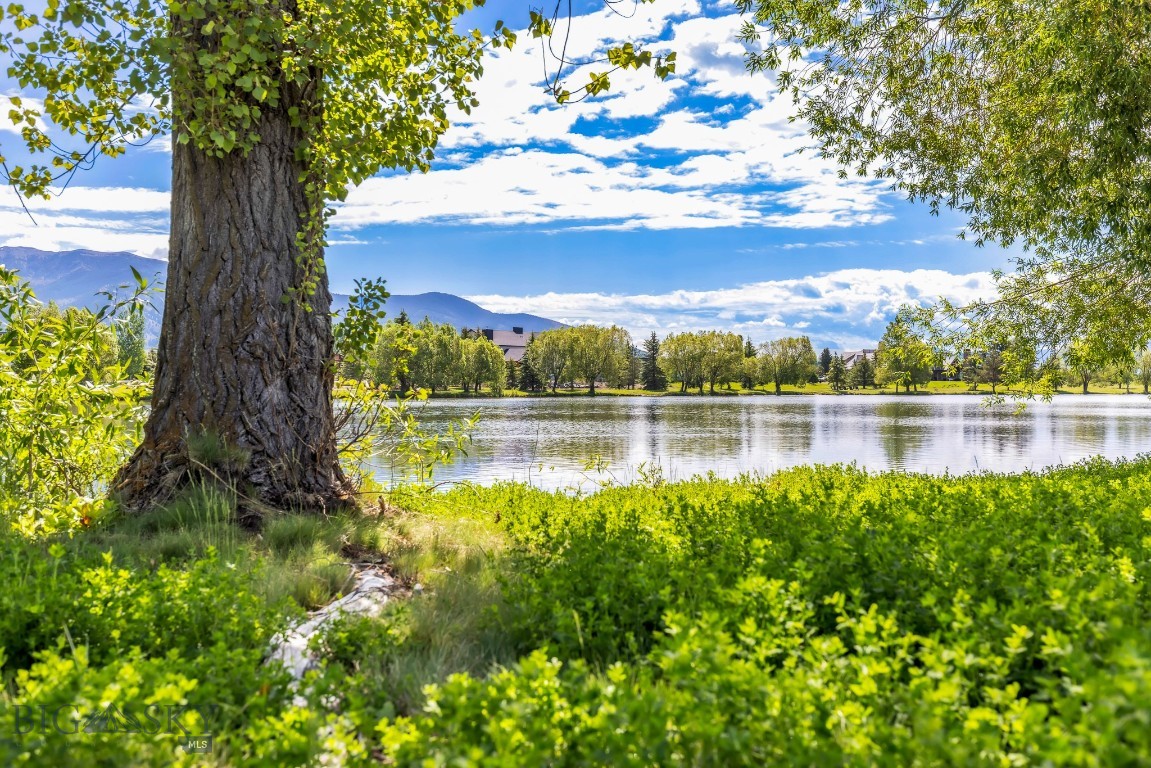 Bridger Lake Meadows - Residential