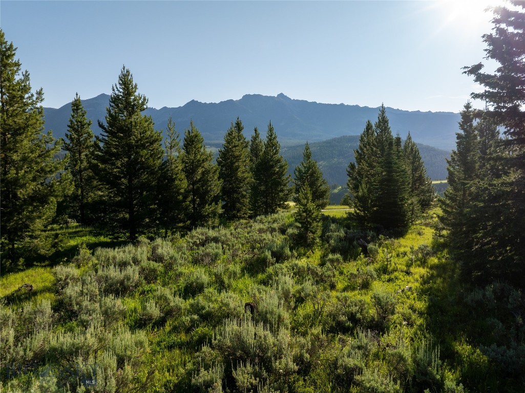 Moonlight Basin West 1 - Land
