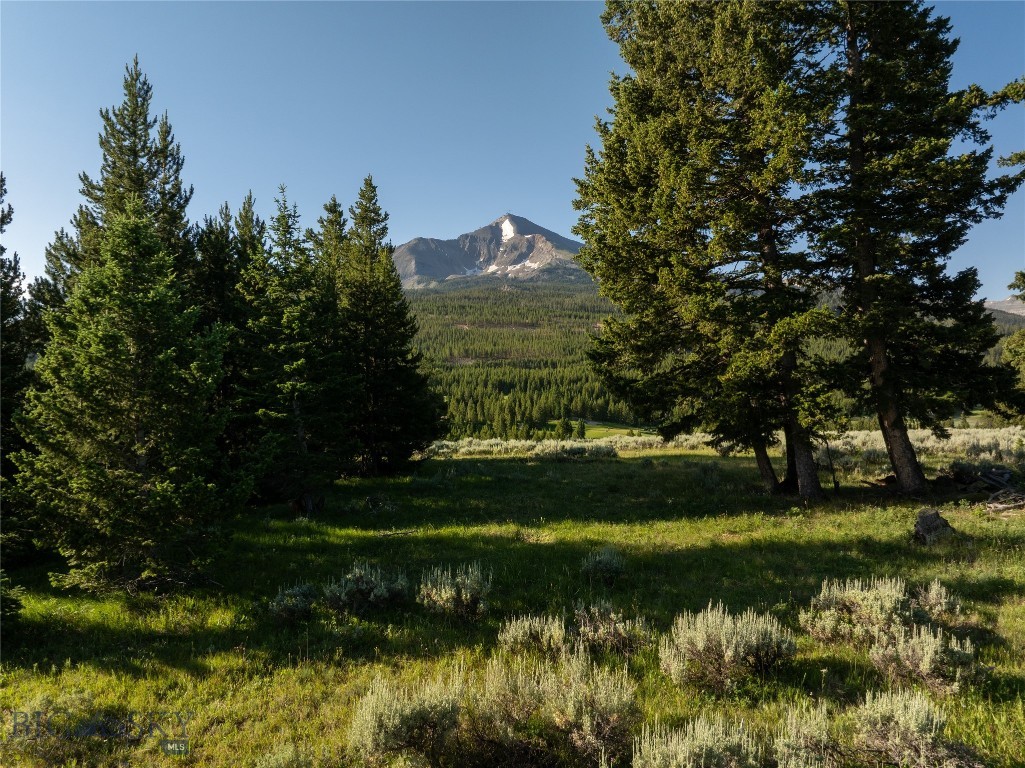 Moonlight Basin West 1 - Land
