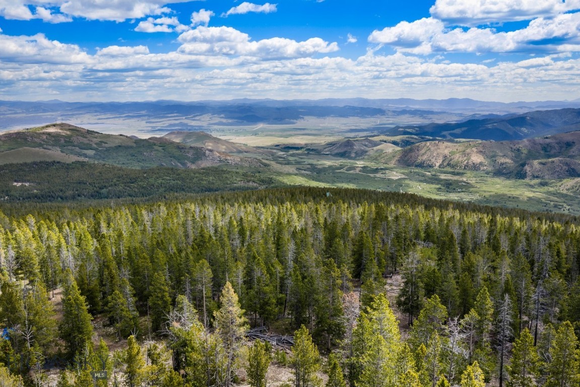 Excellent value for 20 wooded Montana acres! Nice mountain views will open up more with some selected timber cutting. A driveway with a turnaround has been graded in and an alternate driveway can be improved on the other side of the road with the removal of a few fallen trees. The topography is mostly level near the road and moderate throughout the parcel. Situated at 7200 feet elevation, road access is decent in non-snow months by passenger vehicle. There is no regular winter maintenance for the last 1-1/2 miles. Located about 5.8 miles off Mill Creek Highway (MT highway 569) outside of historic Anaconda where you will find restaurants, brewery, wine bars, golf courses, the Washoe Theater and the Kennedy Commons with summer venues and winter ice skating, and the beautiful Washoe Park with swimming pool, playgrounds, Splash Park, and walking trails along Warm Springs Creek. The area has superb four-season recreation including fishing and boating at Georgetown Lake and downhill and cross-country skiing at Discovery Ski. Here is your chance to claim your Montana land to hold or to enjoy now. Don't miss out!