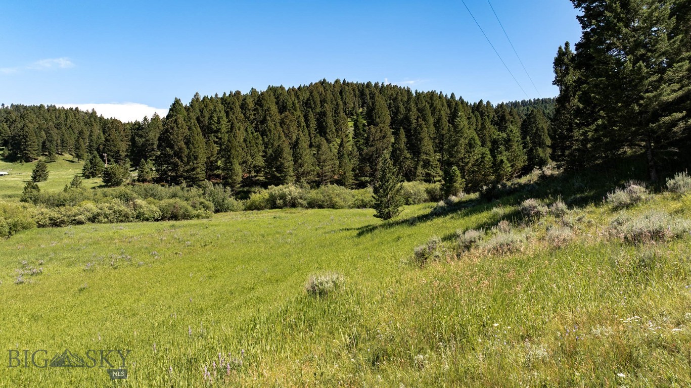 Certificate Of Survey COS - Land