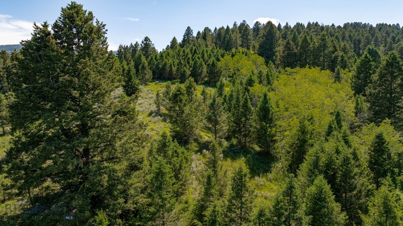 Certificate Of Survey COS - Land