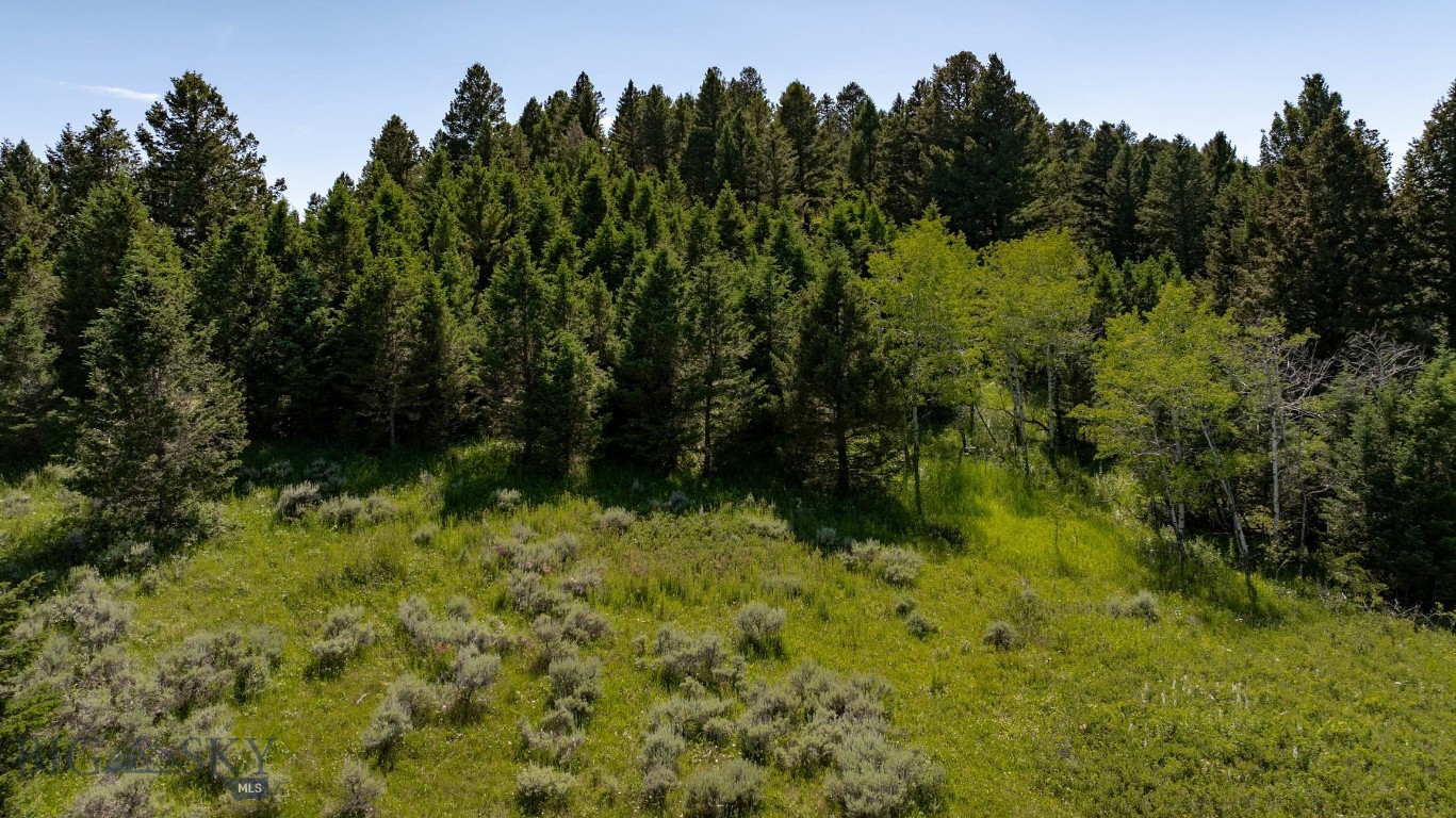 Certificate Of Survey COS - Land