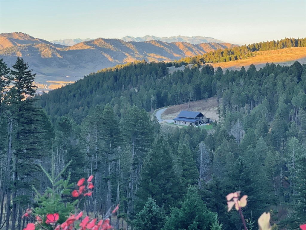 Mountain Brook - Residential