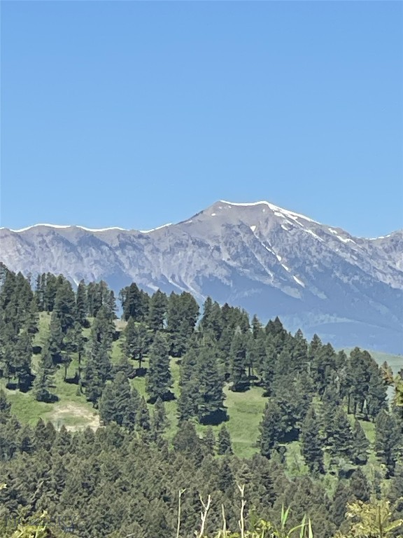 Mountain Brook - Residential