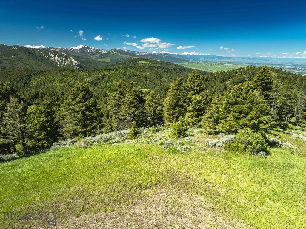 North Pass Ranches - Land