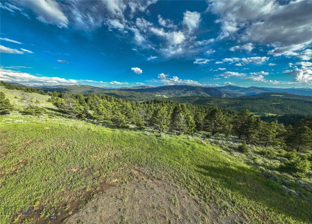 North Pass Ranches - Land