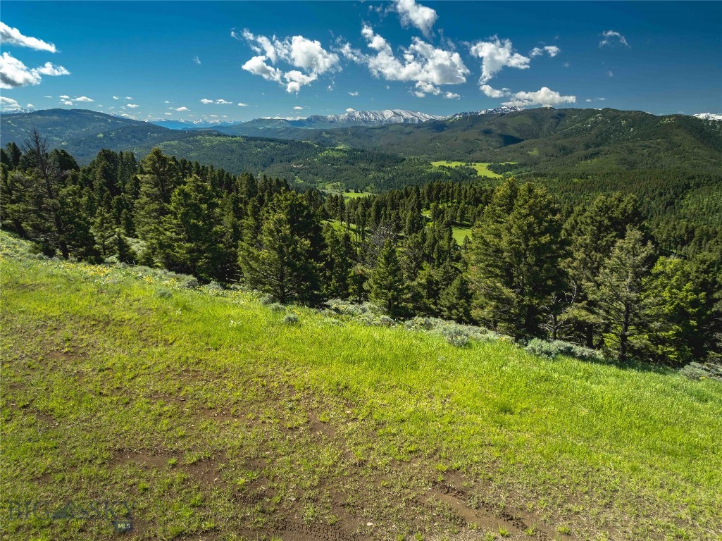 North Pass Ranches - Land