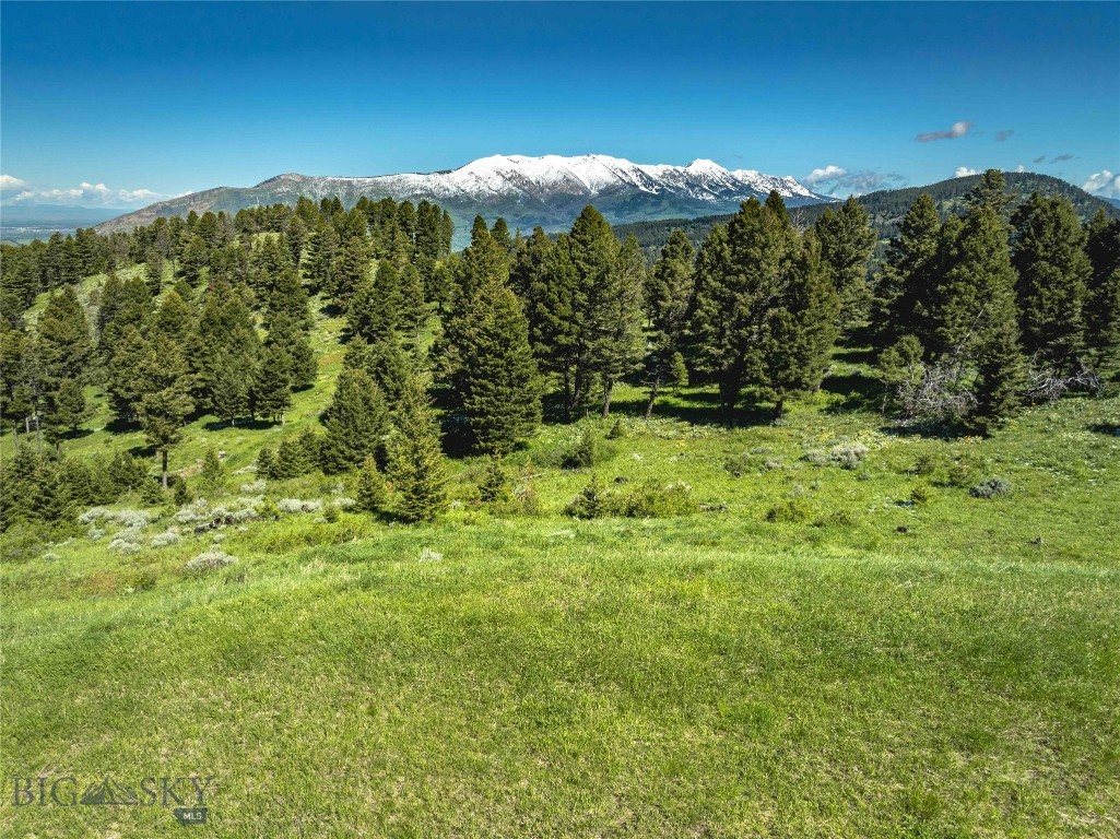 North Pass Ranches - Land