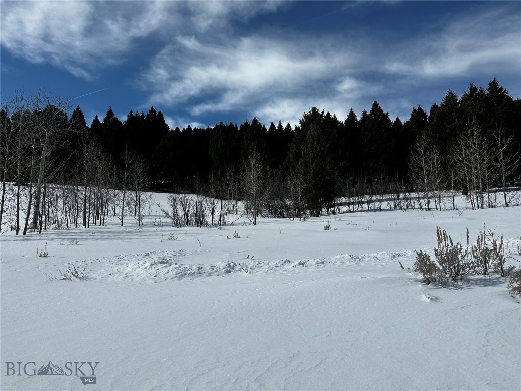 Buffalo Lance Ranch - Land