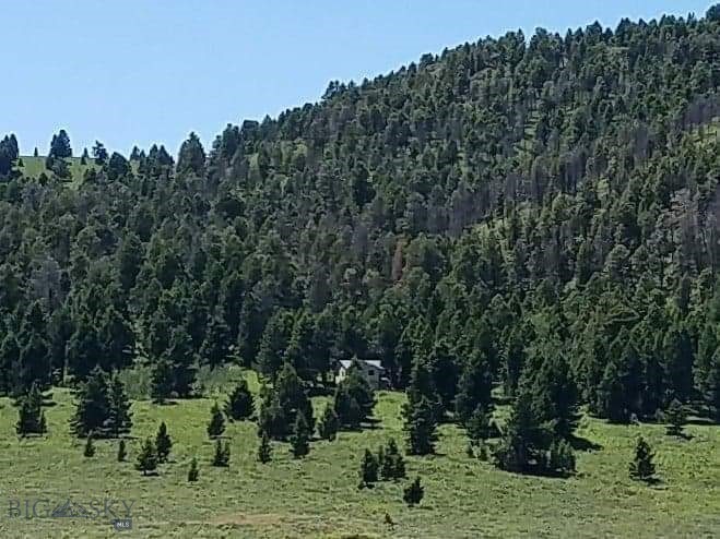 Buffalo Lance Ranch, Parcel 23 is a gem! It borders National Forest on the west (upper end) side of the lot. Power is available from the NE corner between lots 23 and 25. There are several ideal building sites staked out.  The covenants have expired, and there is no county zoning, so no restrictions exist. It borders an outstanding hunting area (owner claims about 2,500 head of elk come over Horn Mtn to this area every year, in the fall).  The property is centrally located with lots of scenic activities & many places to explore ...it is 2 hours from Bozeman, 1 hour from Ennis, 35 minutes from the West Gate of Yellowstone National Park and approx. 2 hours from the beginning of The Grand Tetons National Park. It is only a few miles from the world-famous Blue Ribbon trout waters of the Madison River, plus Hebgen, Earthquake, Cliff, Wade, Elk and Hidden Lakes are all nearby, as well as Henry's Lake in Idaho. The property is just 3 miles North of the Idaho-Montana border, in an "almost" end-of-the-road, peaceful area.
