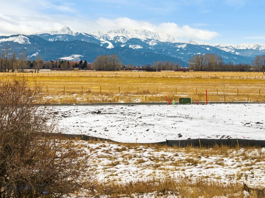 Meadow Bridge - Land