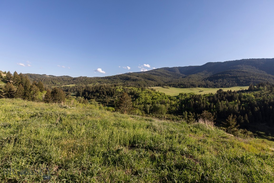 Minor Subdivision - Land