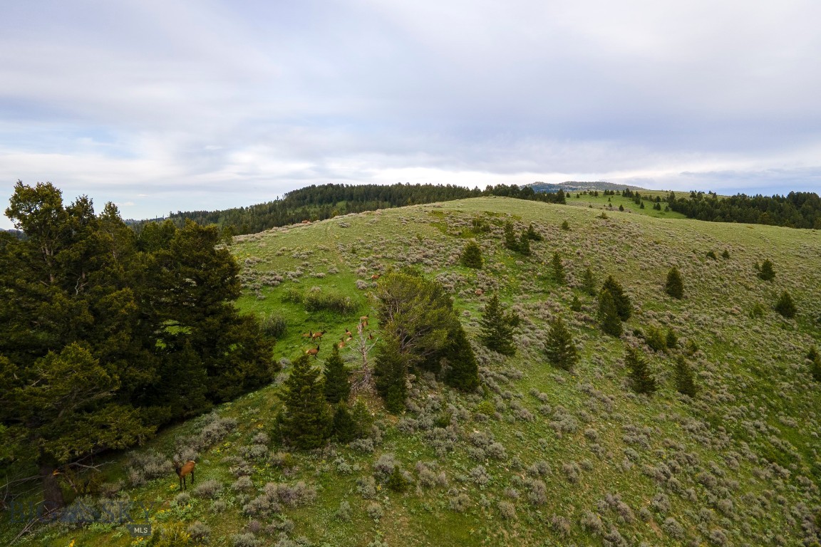 Minor Subdivision - Land