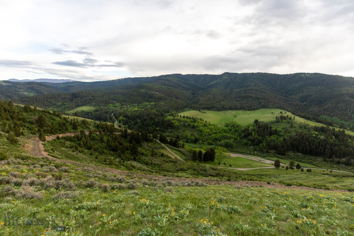 Welcome to Mountain Elk Meadow. Perched at the highest elevation and just over 33 acres, Lot 2 overlooks the scenic Trail Creek drainage and surrounding mountain landscape. Its elevated position offers sweeping vistas, a peaceful sense of seclusion, and direct proximity to the mountain road leading to the shared common land. The property balances accessibility with a private, alpine setting, making it an ideal location for a future mountain retreat. In addition to the individual lot, owners enjoy shared access to over 50 acres of preserved common land above the properties. This protected area features a dramatic ridge line and open plateau with expansive views of the Bridger Range, the Absaroka Mountains, and the surrounding Gallatin valley. The land supports abundant wildlife, with frequent elk sightings across the meadow and plateau. All three lot owners share in the stewardship and enjoyment of this conserved landscape, preserving its open space and natural beauty for years to come. A shared septic is already installed and ready to go. Located within close proximity to both Bozeman and Livingston, this parcel is ready for your dream home today!