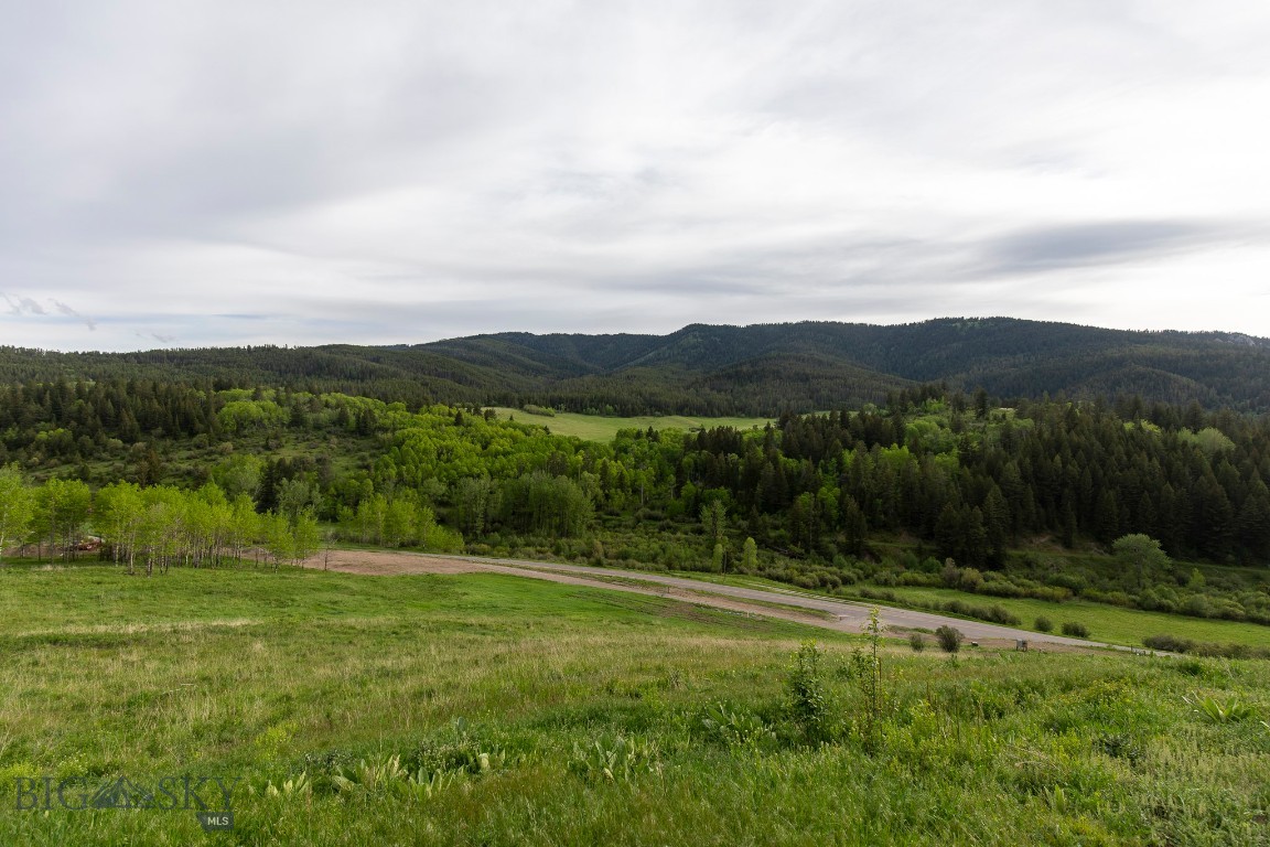 Minor Subdivision - Land
