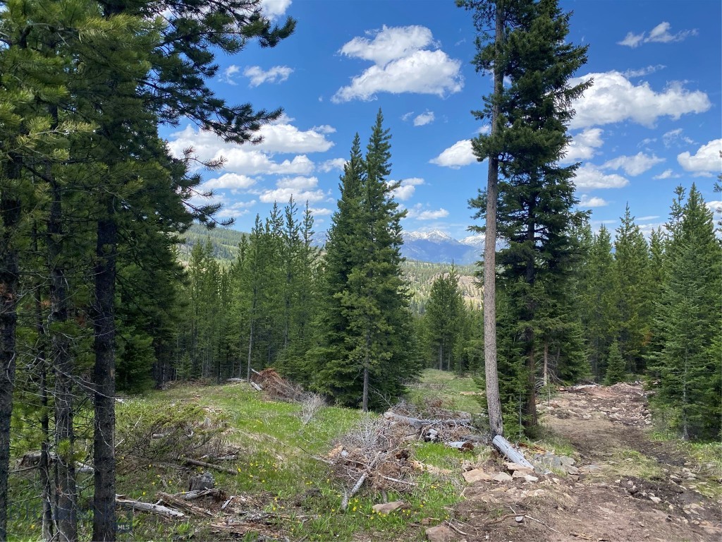 Bear Paw Ponds - Land