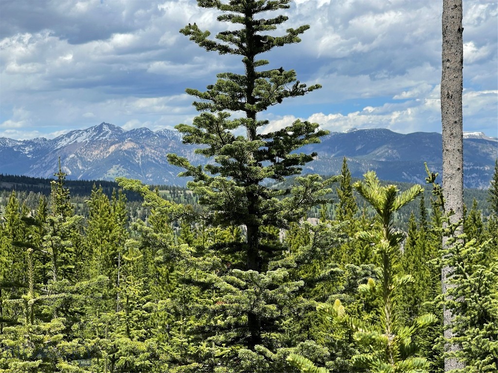 Bear Paw Ponds - Land
