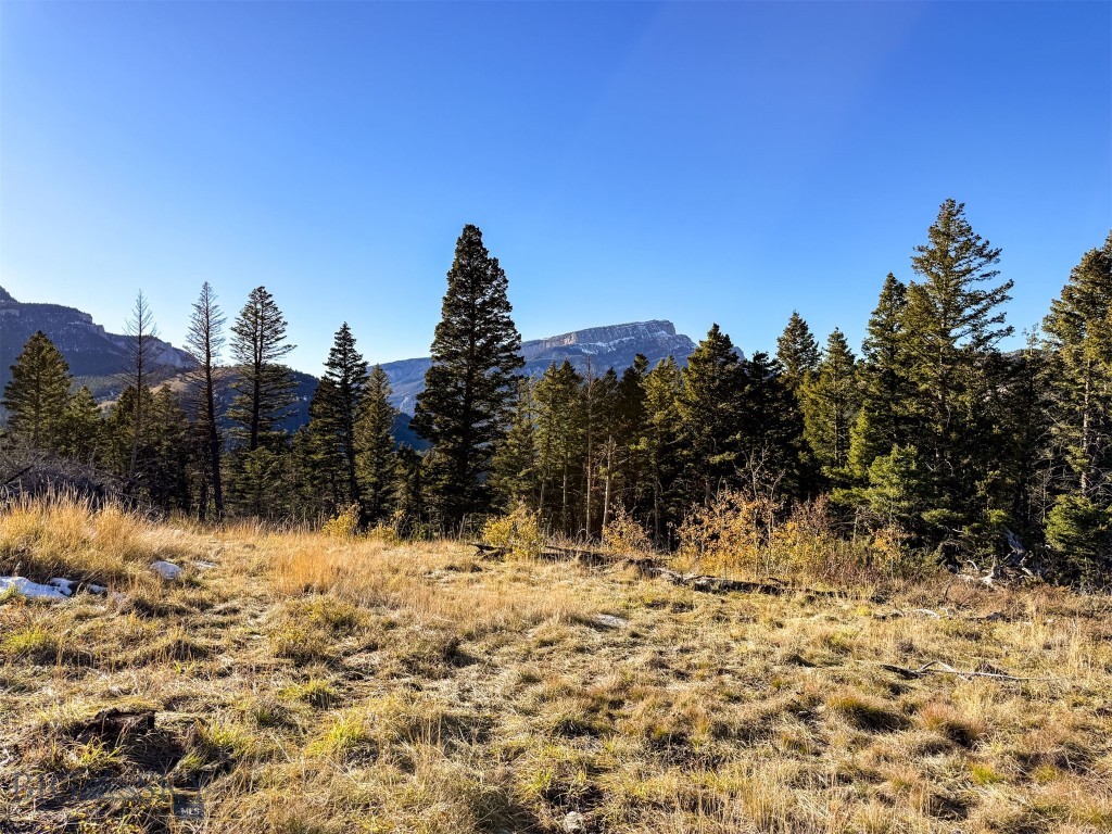 Other - Land