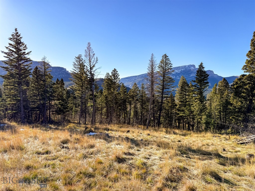 Other - Land