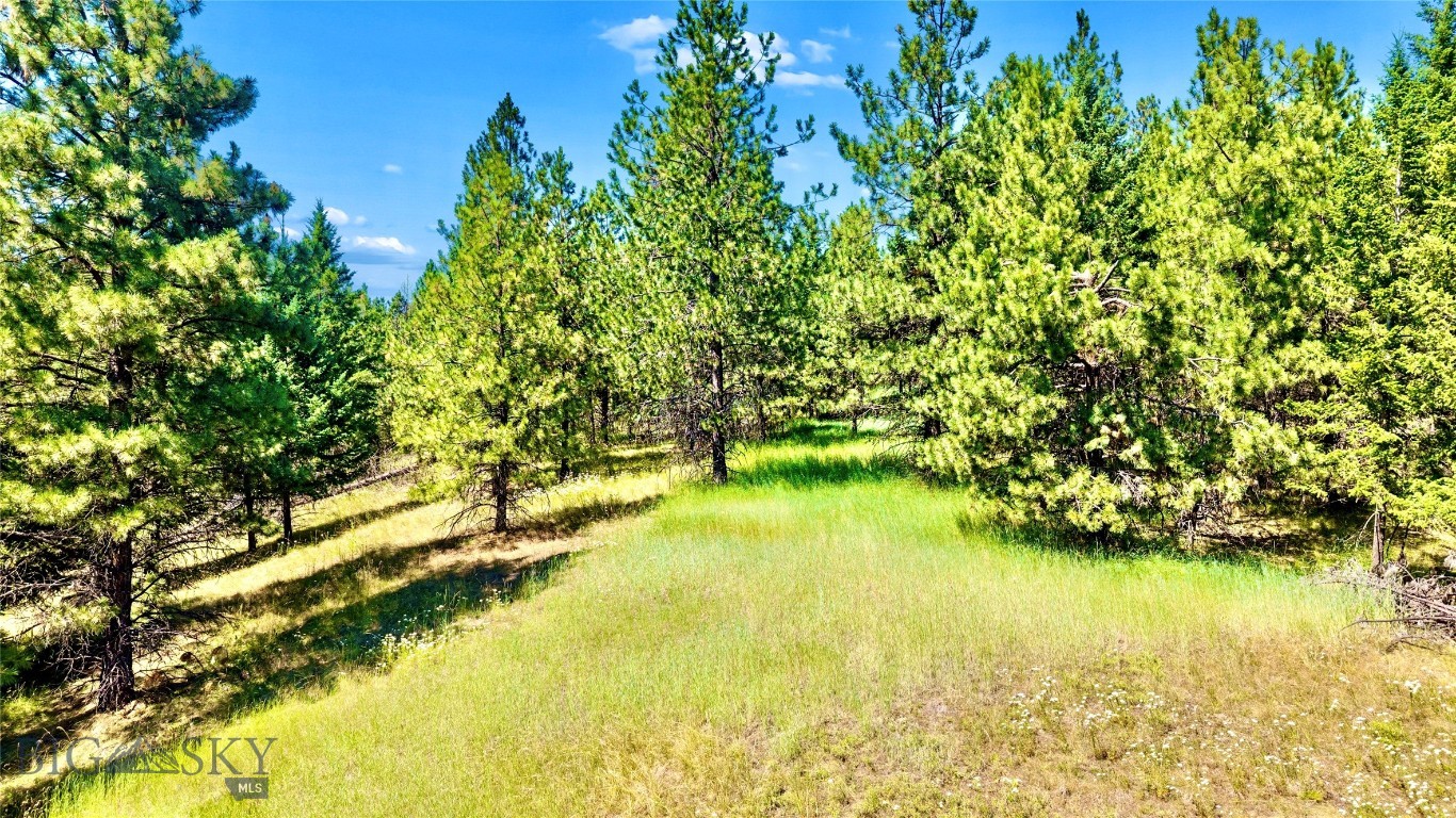 Forty acres in Montana’s scenic Tobacco Valley offer room to imagine, explore, and create. With no covenants or HOA, this mountain-framed property provides a versatile setting for a private residence, recreational retreat, seasonal getaway, or long-term land investment. Leave it open for camping and outdoor enjoyment or begin planning a place of your own beneath the wide Montana sky. Located near Eureka, the property places year-round recreation within easy reach. Spend summer days boating and fishing on Lake Koocanusa, hiking or horseback riding in the Kootenai National Forest, and exploring the many rivers, lakes, and backcountry trails of northwestern Montana. When winter arrives, skiing and snowmobiling add to the possibilities. Glacier National Park, the Canadian border, golf, hunting, and abundant wildlife are all part of the surrounding Tobacco Valley lifestyle. Unimproved and ready for a buyer’s vision, these 40 acres are an inviting canvas in one of Montana’s most recreation-rich regions.