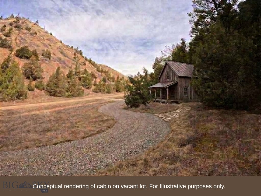 Ponderosa Pines - Land